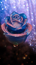 Rose Trinket Box