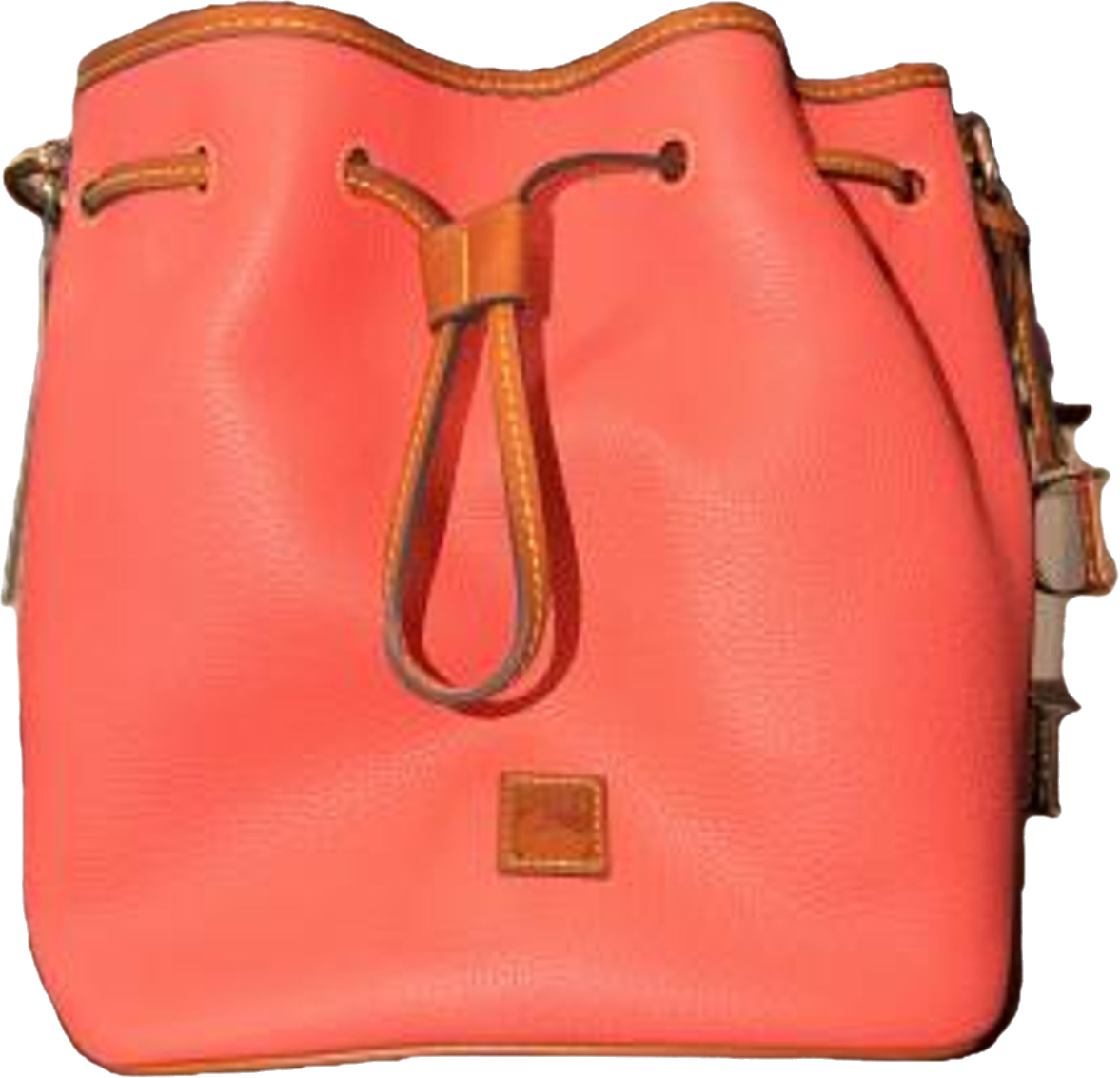 Salmon Dooney & Bourke
